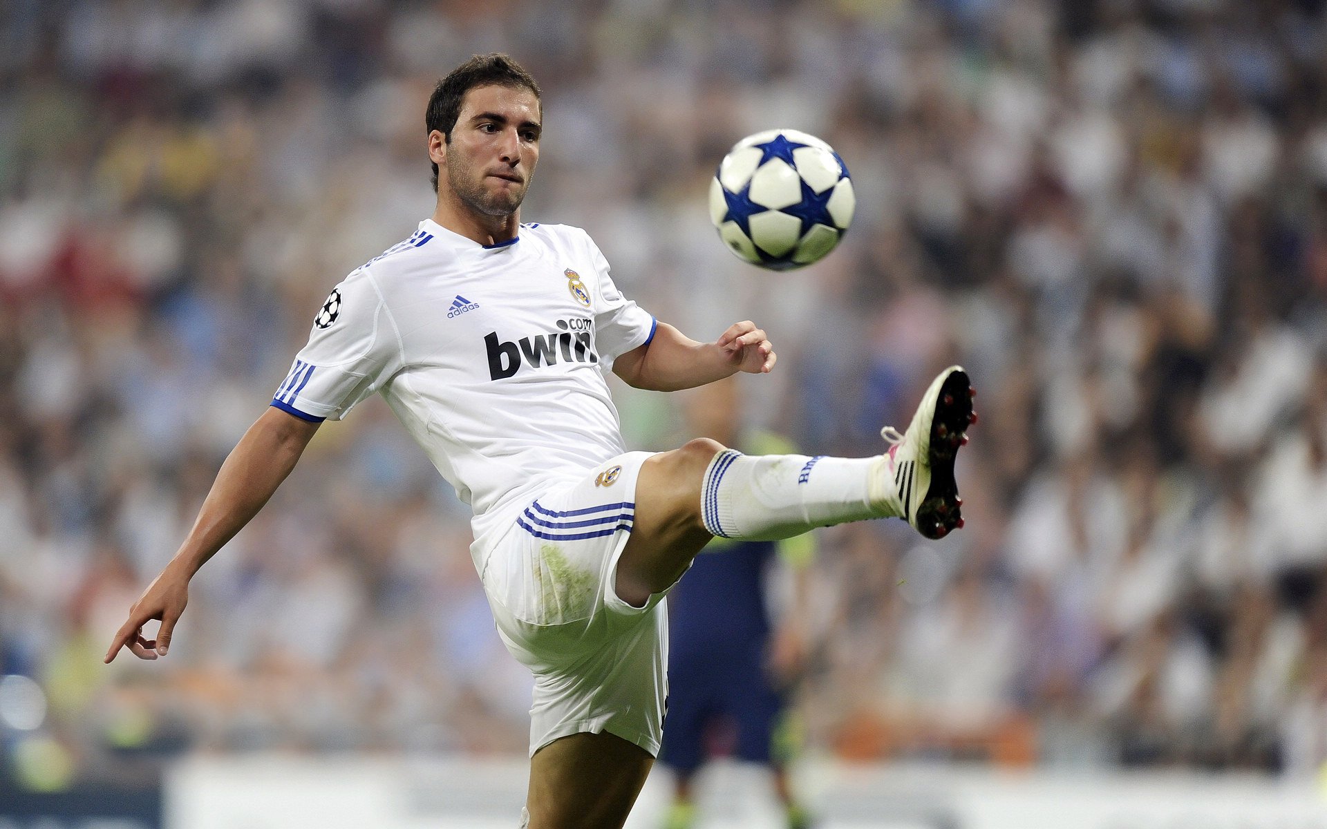 多米尼加在体育+旅游方面实现创新突破,多米尼加发展怎么样